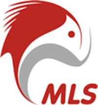 MLS IT Systems, IT-компания